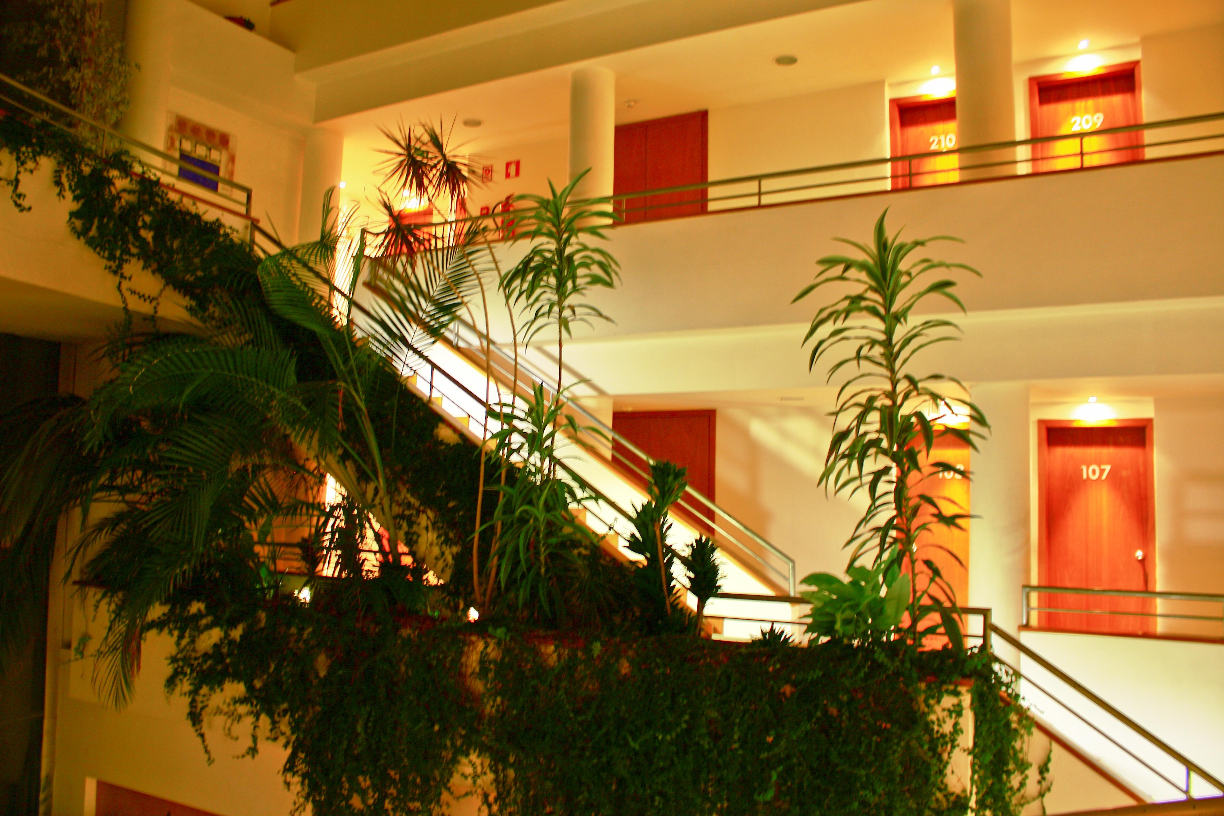Hotel Das Taipas Guimarães Zewnętrze zdjęcie